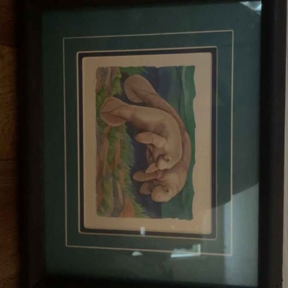Framed Dolphin and Manatee Art Prints